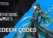 Jangan Sampai Ketinggalan! Kode Redeem Wuthering Waves Valid 19 Agustus 2025 Bisa Dipakai Sekarang